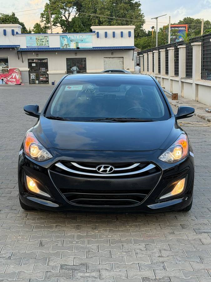 Muhammad A. Malumfashi's Hyundai Elantra GT — front