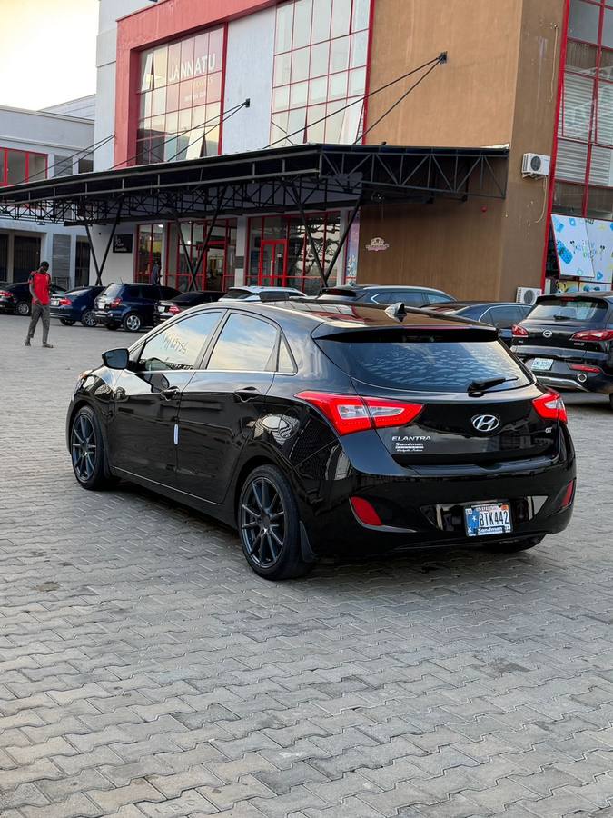 Muhammad A. Malumfashi's Hyundai Elantra GT — rear